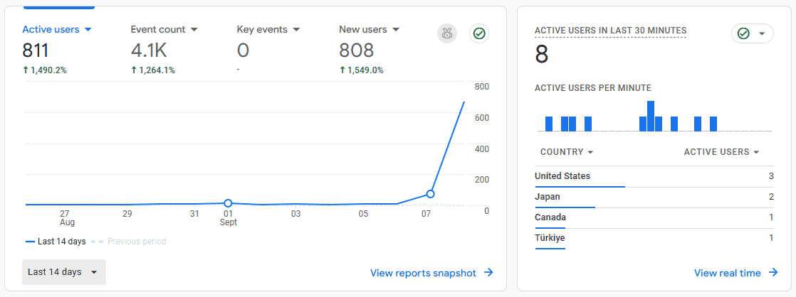Active website users