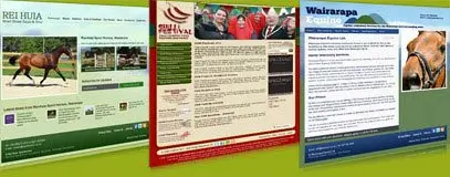 portfolio of our website developments